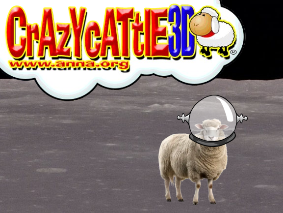CC3D In Space
